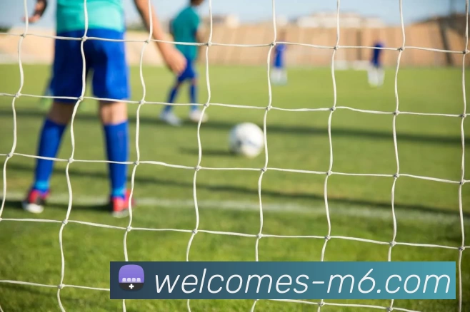 M8体育投注平台发展历程